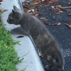 IMG_0012.jpeg