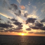 IMG_0043.jpeg