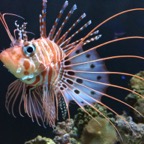 IMG_0087.jpeg