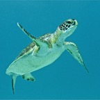 IMG_0097.jpeg