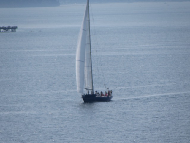 IMG_0252.jpeg