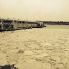 IMG_0429.jpeg