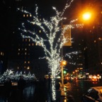 IMG_0439.jpeg