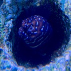 IMG_0498.jpeg
