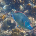 IMG_0525.jpeg