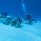 IMG_0566.jpeg