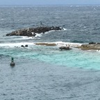 IMG_0615.jpeg
