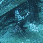 IMG_0796.jpeg