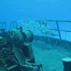 IMG_0802.jpeg