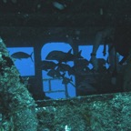 IMG_0808.jpeg