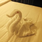IMG_1139.jpeg