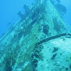 IMG_1344.jpeg