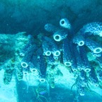 IMG_1356.jpeg