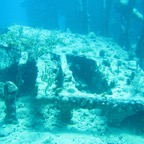 IMG_1688.jpeg