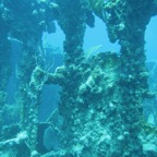 IMG_1695.jpeg