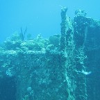 IMG_1706.jpeg