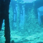 IMG_1730.jpeg