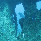 IMG_1731.jpeg