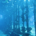 IMG_1821.jpeg