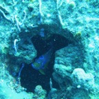 IMG_1845.jpeg