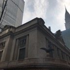 IMG_1910.jpeg