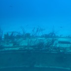 IMG_2045.jpeg
