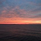 IMG_2786.jpeg